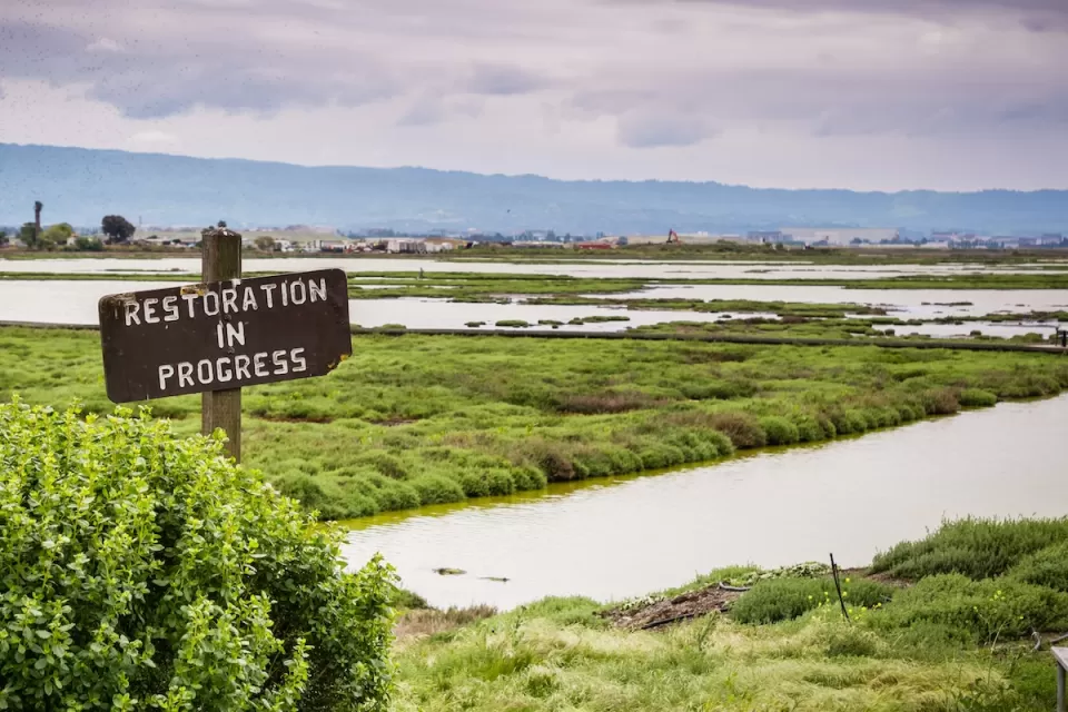 "Restoration in progress" sign in the wetlands in Alviso Marsh, Don Edwards wildlife refuge, south San Francisco Bay, California.